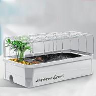 玻璃烏龜缸-象牙白-加大號