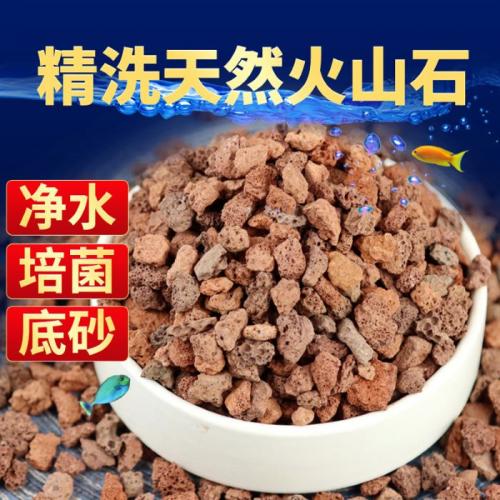 火山石多孔隙天然濾材400g