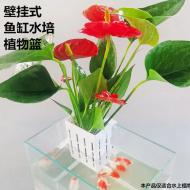  魚缸掛壁水耕植物籃