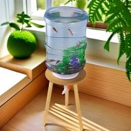 礦泉水桶生態魚缸-底部換水