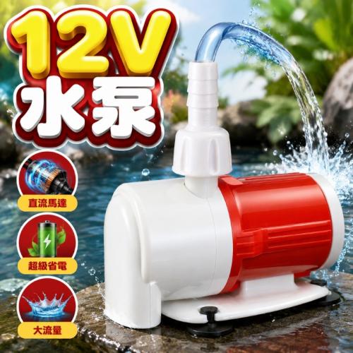 底吸抽水潛水泵-12VDC+10W1000L