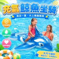藍鯨充氣座艇