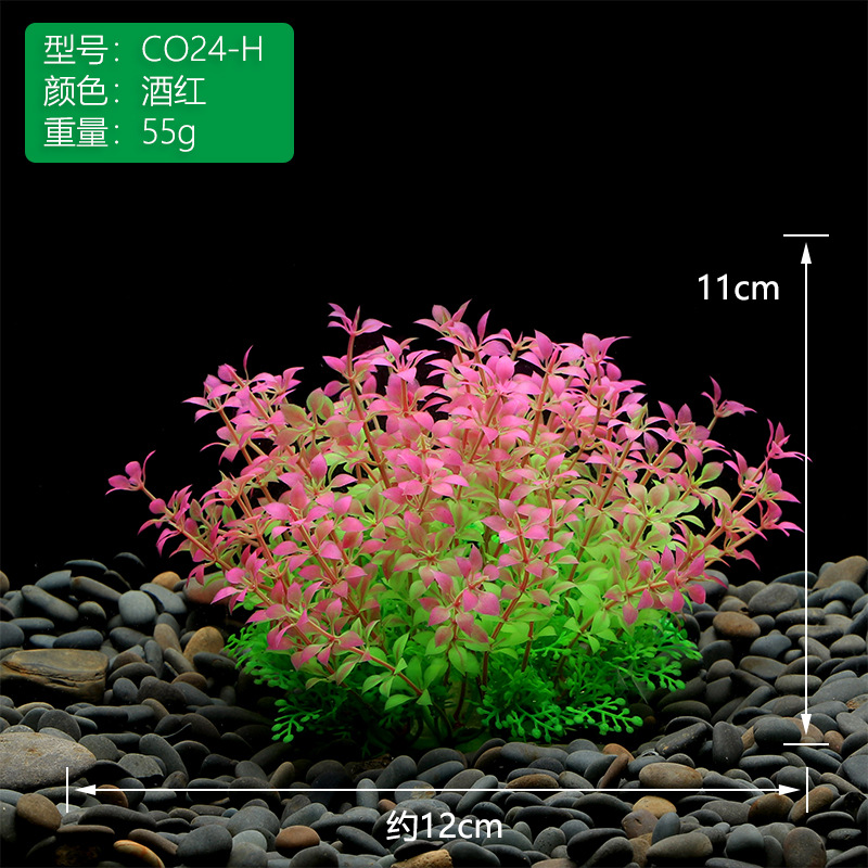 魚缸水草造景-CO24