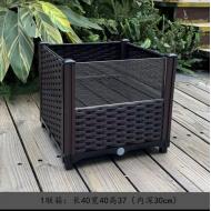 1格烏龜缸